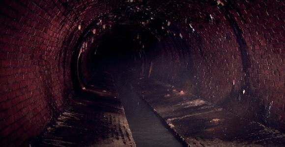 世界の都市伝説 アメリカ ニューヨークの下水道にはワニが生息する あげてけ