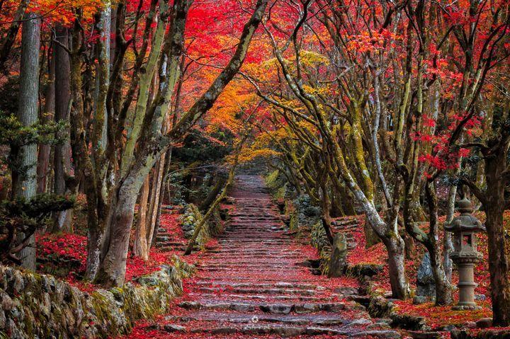 国内 日本 幻想的な画像 写真を大量まとめ 壁紙 高画質 綺麗 風景 50枚