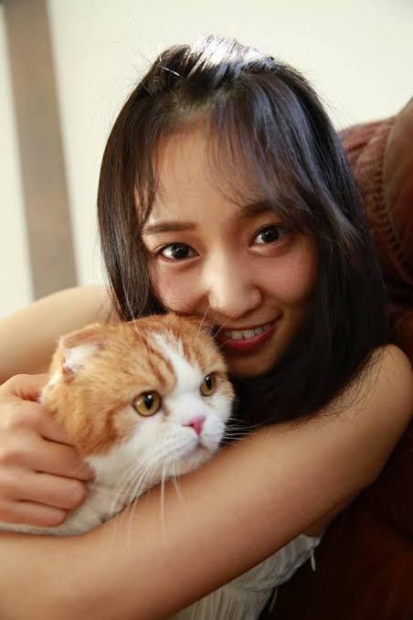 写真集 フィアンセ より猫と一緒に映る菅井友香 あげてけ