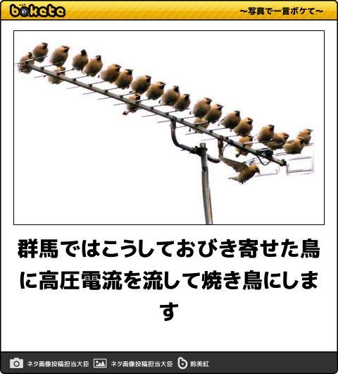 5864選 ボケて Bokete 殿堂入り 傑作ネタまとめ 最新 アーカイブ